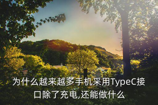 為什么越來(lái)越多手機(jī)采用TypeC接口除了充電,還能做什么