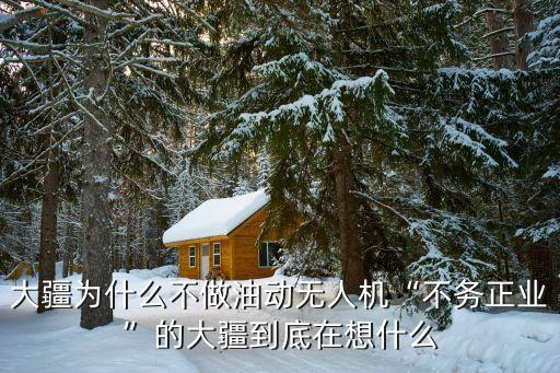 機(jī)器人大師賽,機(jī)甲大師賽機(jī)器人介紹