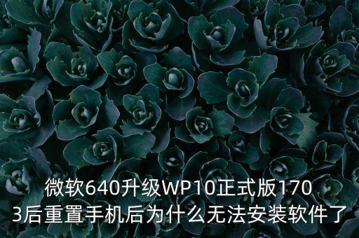 微軟640升級WP10正式版1703后重置手機后為什么無法安裝軟件了