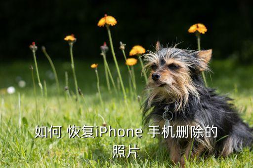 如何 恢復(fù)iPhone 手機刪除的照片