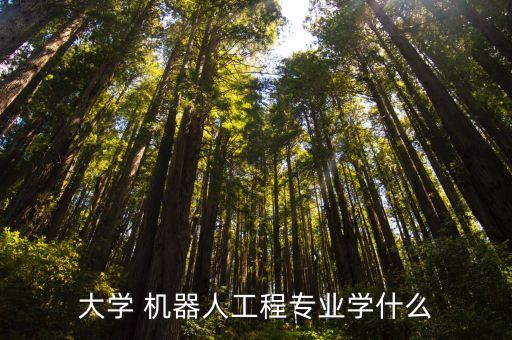 大學(xué) 機(jī)器人工程專業(yè)學(xué)什么