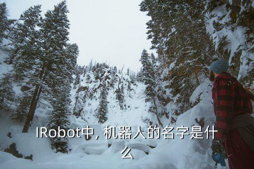 IRobot中, 機(jī)器人的名字是什么