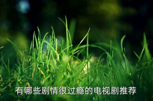 有哪些劇情很過癮的電視劇推薦