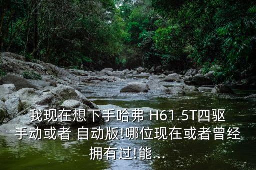 我現(xiàn)在想下手哈弗 H61.5T四驅(qū)手動(dòng)或者 自動(dòng)版!哪位現(xiàn)在或者曾經(jīng)擁有過!能...
