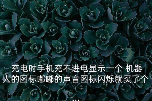  充電時手機充不進電顯示一個 機器人的圖標嘟嘟的聲音圖標閃爍就買了個...