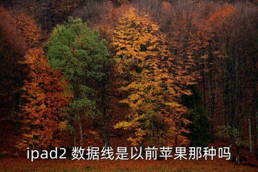 ipad2 數(shù)據(jù)線是以前蘋果那種嗎