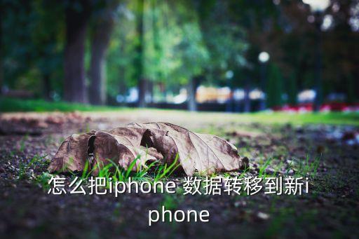 系統(tǒng)和數(shù)據(jù)遷移解決方案,銀離子遷移的解決方案