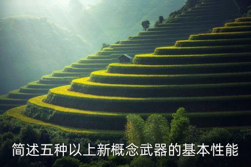 簡述五種以上新概念武器的基本性能