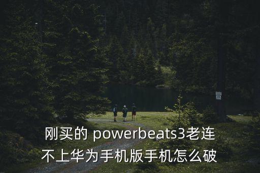 powerbeats3數(shù)據(jù)線,beats powerbeats3