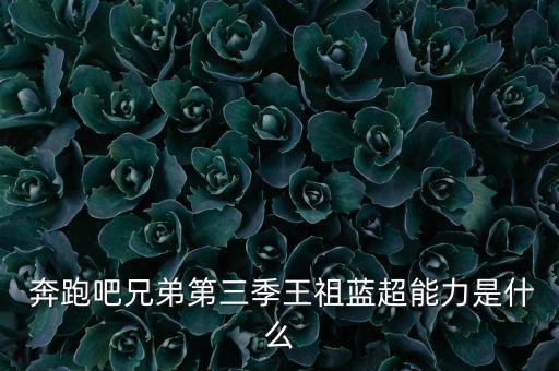 奔跑吧中國機器人