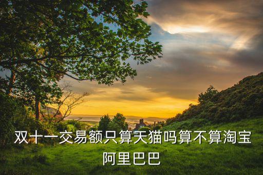 雙十一淘寶數(shù)據(jù),淘寶雙十一交易額數(shù)據(jù)
