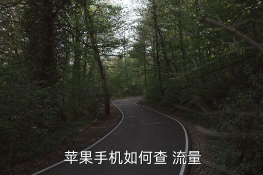  蘋果手機如何查 流量