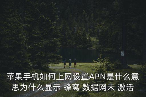 蘋果手機如何上網(wǎng)設置APN是什么意思為什么顯示 蜂窩 數(shù)據(jù)網(wǎng)未 激活