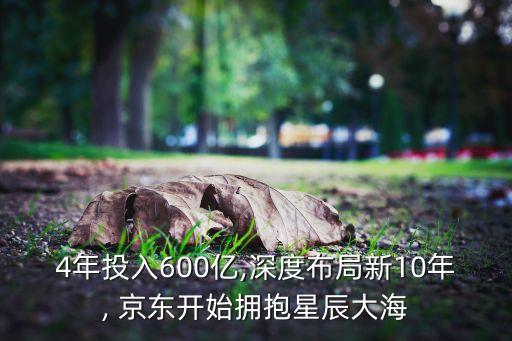 京東數(shù)據(jù)下沉,京東做數(shù)據(jù)11800