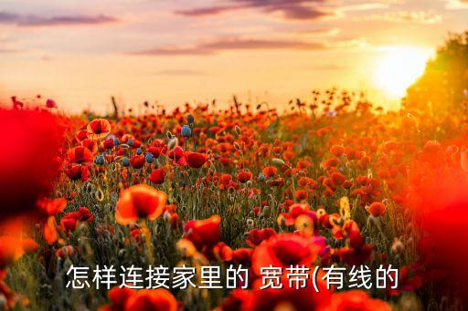 寬帶數(shù)據(jù)線接法,寬帶面板接法圖解A和B