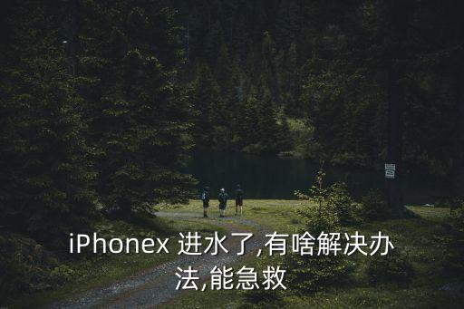 iPhonex 進水了,有啥解決辦法,能急救