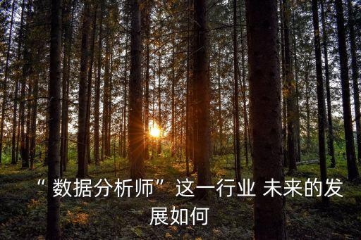 “ 數(shù)據(jù)分析師”這一行業(yè) 未來的發(fā)展如何