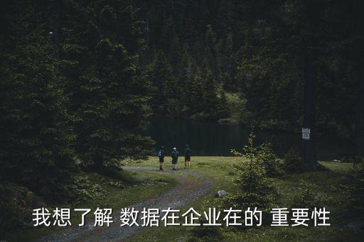 我想了解 數(shù)據(jù)在企業(yè)在的 重要性