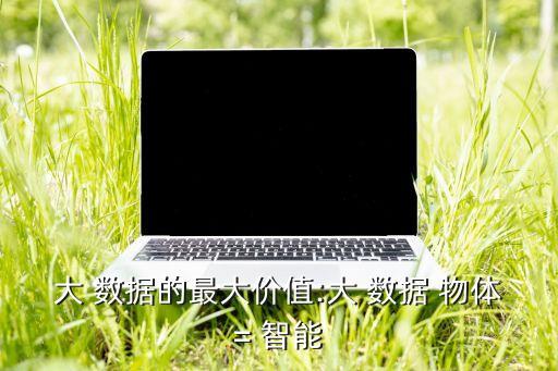 大 數(shù)據(jù)的最大價值:大 數(shù)據(jù) 物體= 智能