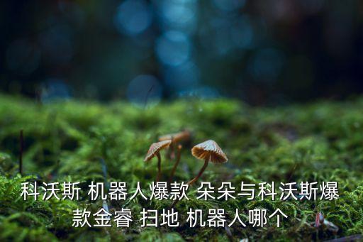 科沃斯 機(jī)器人爆款 朵朵與科沃斯爆款金睿 掃地 機(jī)器人哪個(gè)
