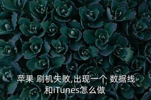 蘋(píng)果手機(jī)刷機(jī)數(shù)據(jù)線斷開(kāi),蘋(píng)果刷機(jī)數(shù)據(jù)線中途斷開(kāi)怎么辦