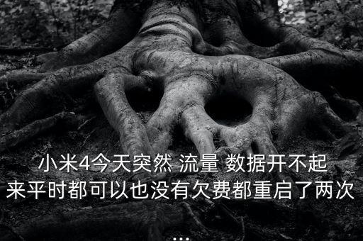  小米4今天突然 流量 數(shù)據(jù)開不起來平時(shí)都可以也沒有欠費(fèi)都重啟了兩次...