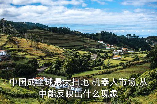 中國(guó)成全球最大掃地 機(jī)器人市場(chǎng),從中能反映出什么現(xiàn)象