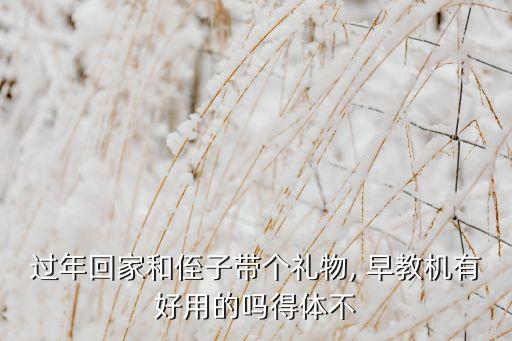 過年回家和侄子帶個禮物, 早教機(jī)有好用的嗎得體不