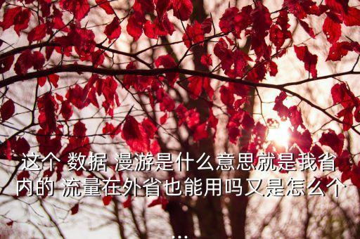 這個 數(shù)據(jù) 漫游是什么意思就是我省內(nèi)的 流量在外省也能用嗎又是怎么個...