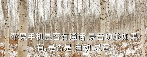  蘋果手機是否有通話 錄音功能如果有,是否是 自動 錄音