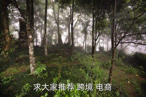 跨境電商數(shù)據(jù)平臺(tái)有哪些