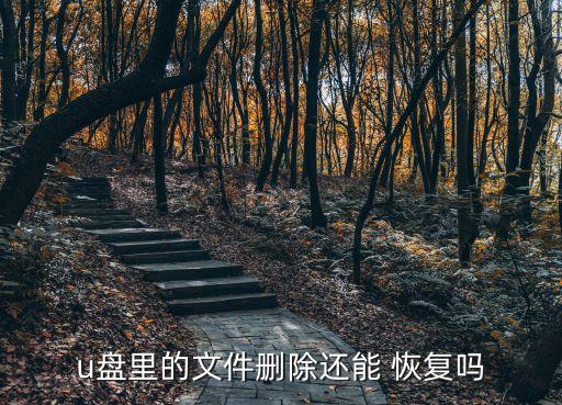 u盤(pán)里的文件刪除還能 恢復(fù)嗎