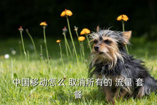 中國(guó)移動(dòng)怎么 取消所有的 流量 套餐
