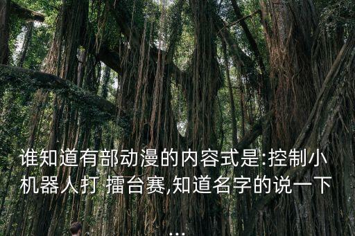 機器人擂臺爭霸賽,肯德基機器人爭霸賽