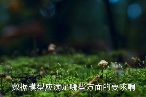  數(shù)據(jù)模型應滿足哪些方面的要求啊