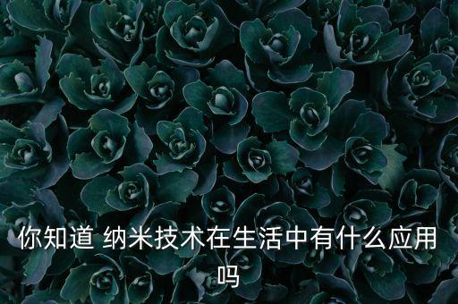 你知道 納米技術(shù)在生活中有什么應(yīng)用嗎