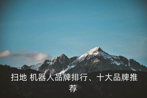 掃地機器人用那個牌子