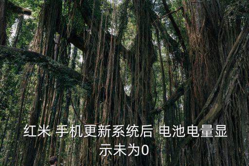  紅米 手機(jī)更新系統(tǒng)后 電池電量顯示未為0