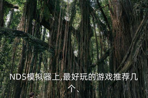 NDS模擬器上,最好玩的游戲推薦幾個(gè)、