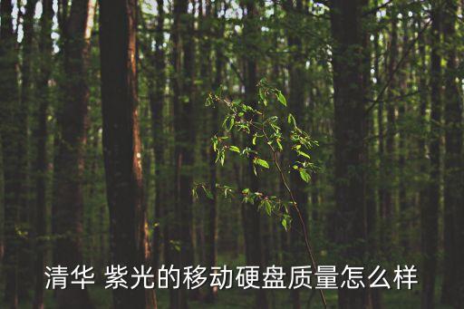 紫光 西部數(shù)據(jù) 合資,紫光西部數(shù)據(jù)有限公司怎么樣