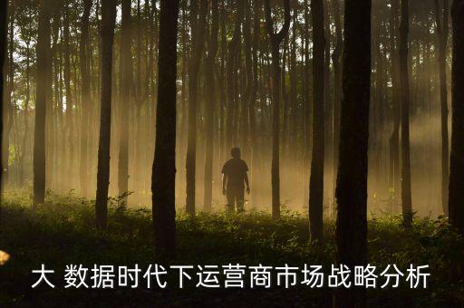 大 數(shù)據(jù)時代下運營商市場戰(zhàn)略分析