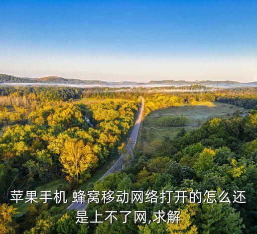 蘋果手機 蜂窩移動網(wǎng)絡(luò)打開的怎么還是上不了網(wǎng),求解