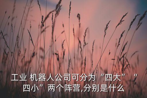  工業(yè) 機(jī)器人公司可分為“四大”“四小”兩個(gè)陣營(yíng),分別是什么