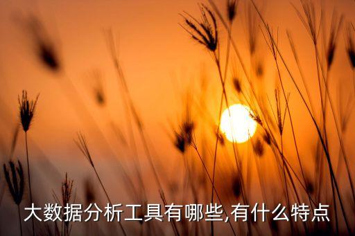 大數(shù)據(jù)分析工具有哪些,有什么特點(diǎn)