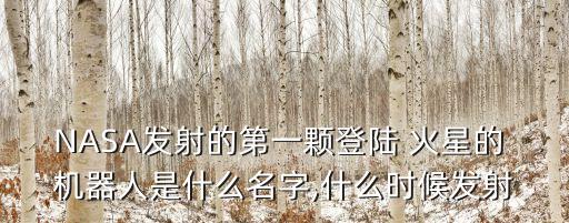 NASA發(fā)射的第一顆登陸 火星的 機(jī)器人是什么名字,什么時(shí)候發(fā)射