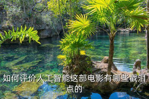 如何評(píng)價(jià)人工智能這部電影有哪些戳淚點(diǎn)的
