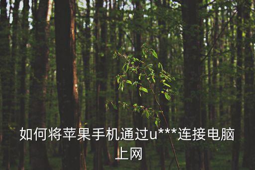 如何將蘋果手機(jī)通過u***連接電腦 上網(wǎng)