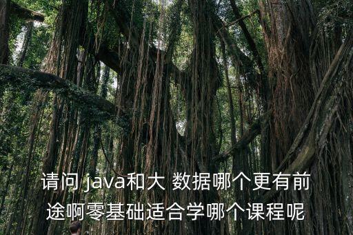 請問 java和大 數(shù)據(jù)哪個更有前途啊零基礎適合學哪個課程呢