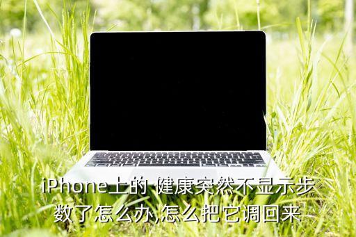 ios10.3.1 健康無數(shù)據(jù)