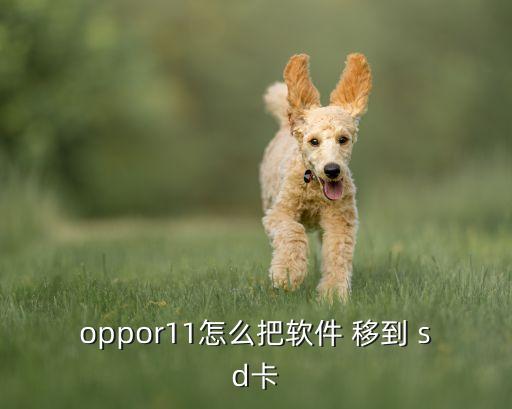 oppor11怎么把軟件 移到 sd卡